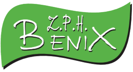 Logo Benix